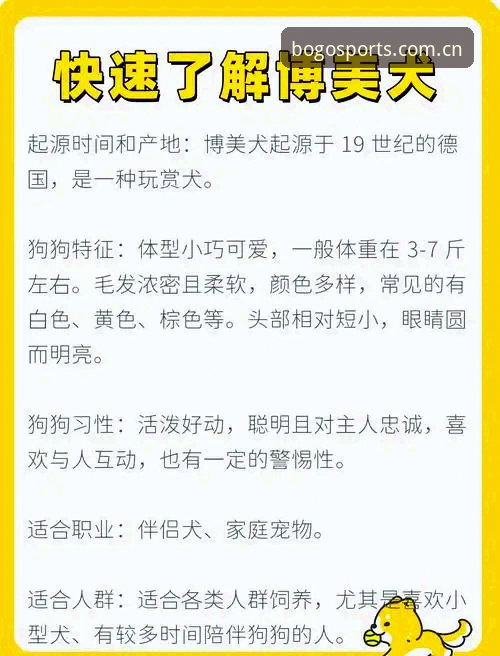 博狗官方正版入口安卓版深度剖析：安全、便捷与用户体验的全方位解读